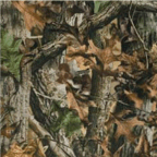 Advantage Timber