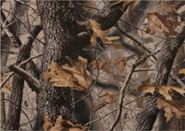 Realtree Hardwoods